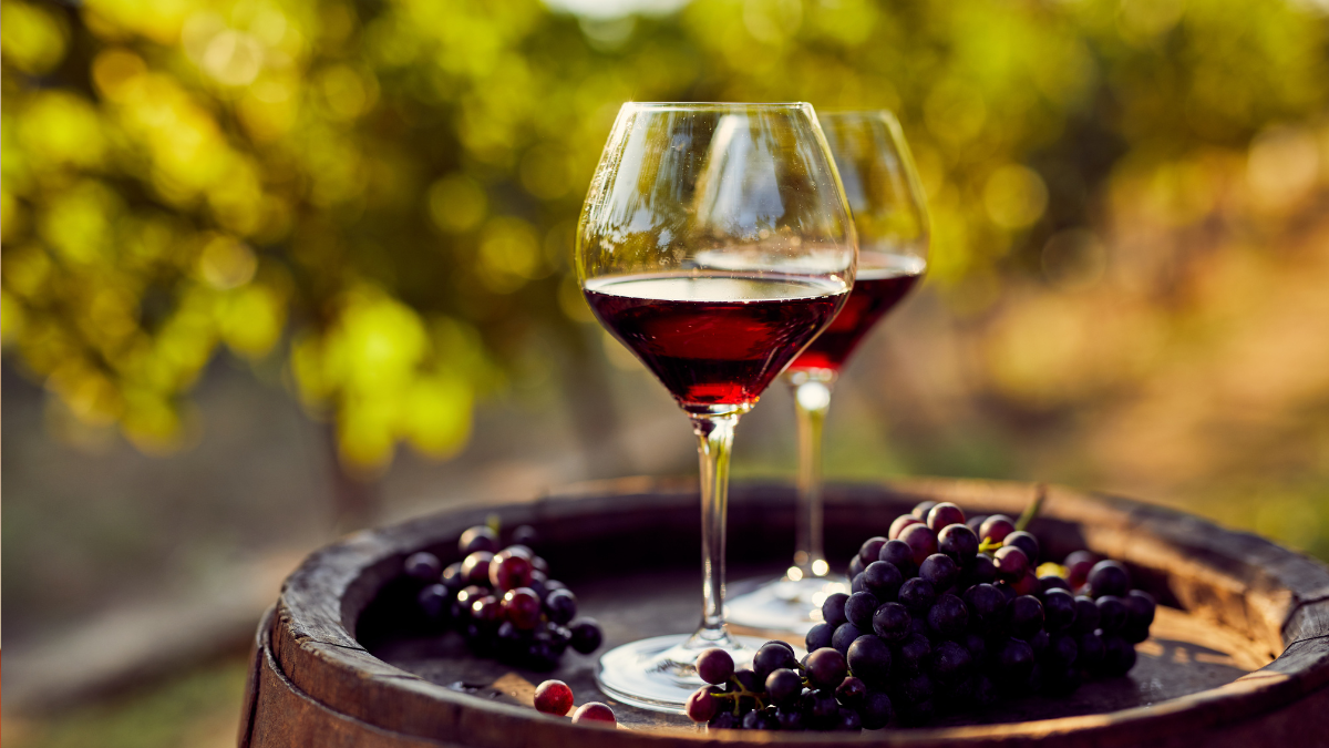 Vino Tannat