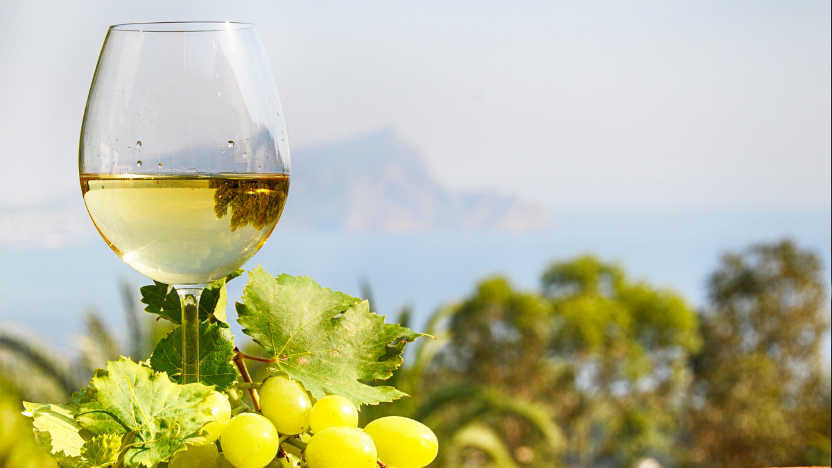 Godello wine