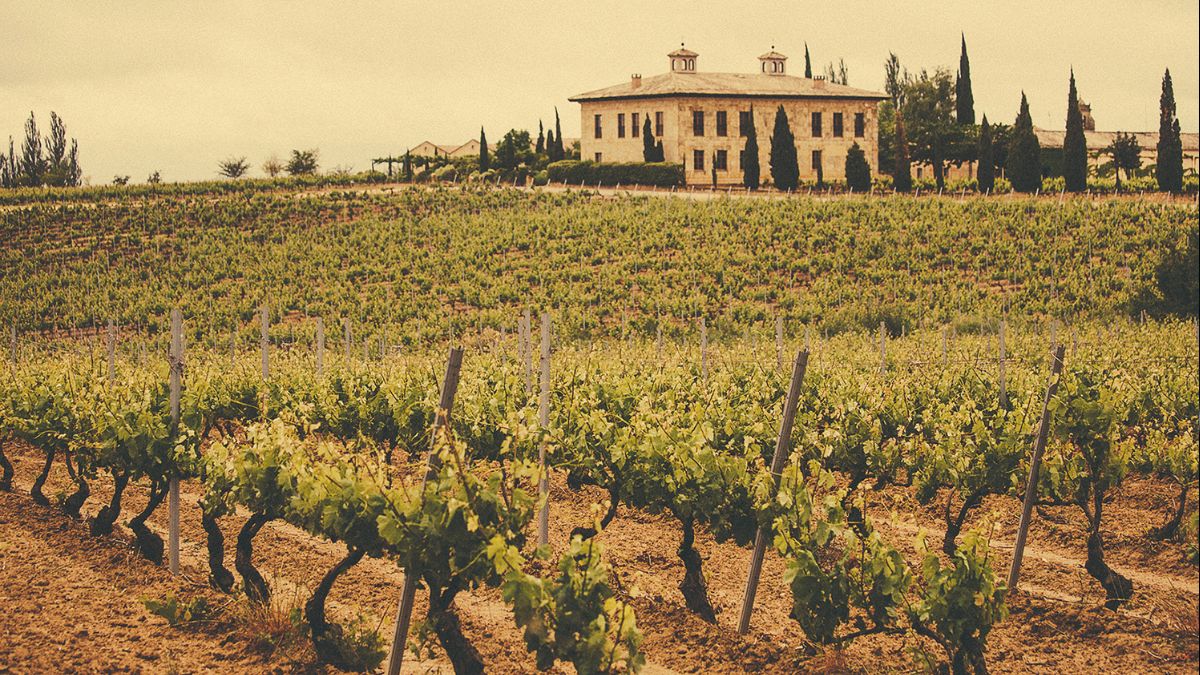 rioja vineyard